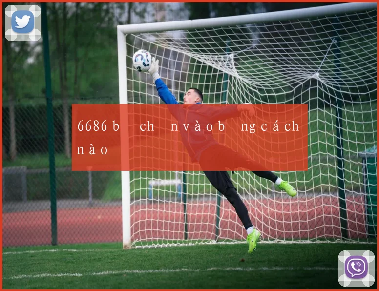 6686 bị chặn vào bằng cách nào